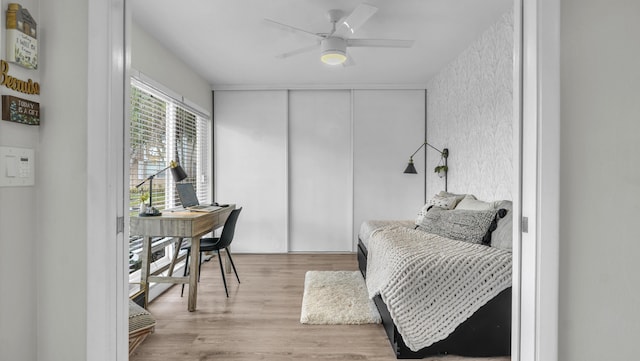 office featuring light hardwood / wood-style flooring and ceiling fan