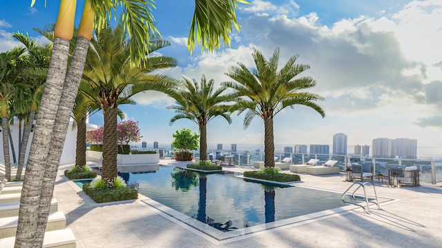 view of pool featuring a patio