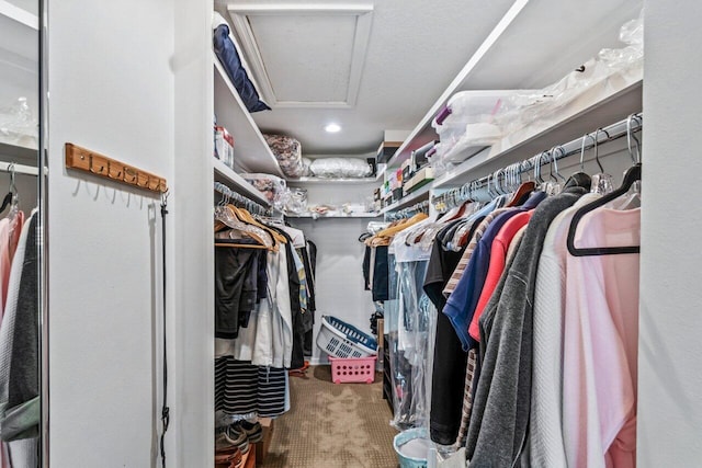 walk in closet featuring carpet