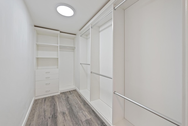 walk in closet with light hardwood / wood-style floors