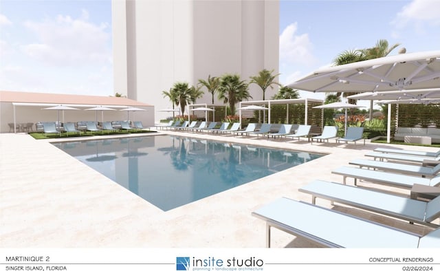 view of swimming pool featuring a patio