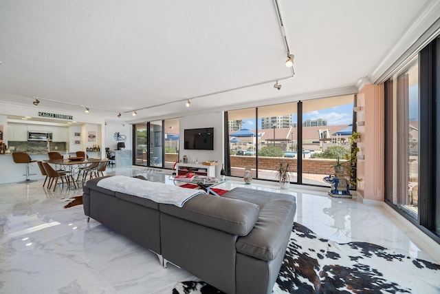 living room featuring a wall of windows