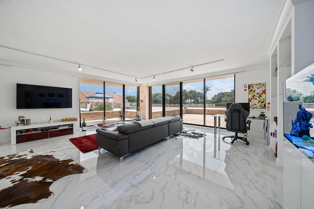 living room featuring rail lighting