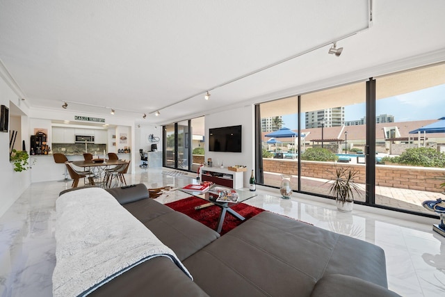 living room with floor to ceiling windows and rail lighting