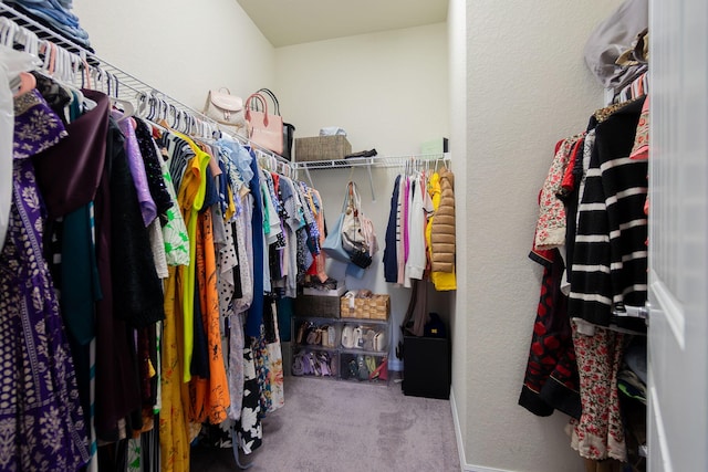 spacious closet with carpet