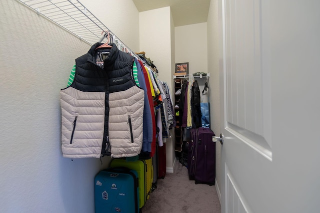 walk in closet with carpet