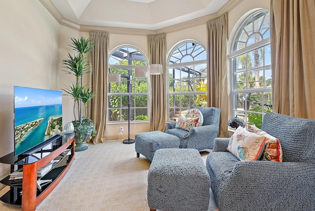 sitting room featuring carpet floors