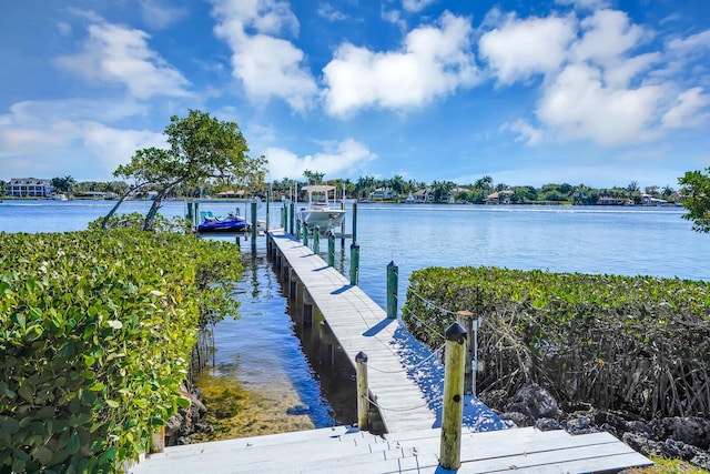 dock area with a water view