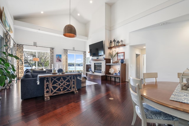 living room featuring high vaulted ceiling and dark hardwood / wood-style floors