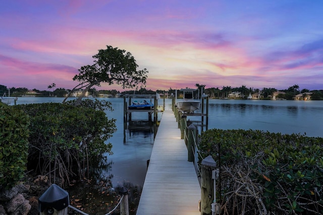 dock area with a water view