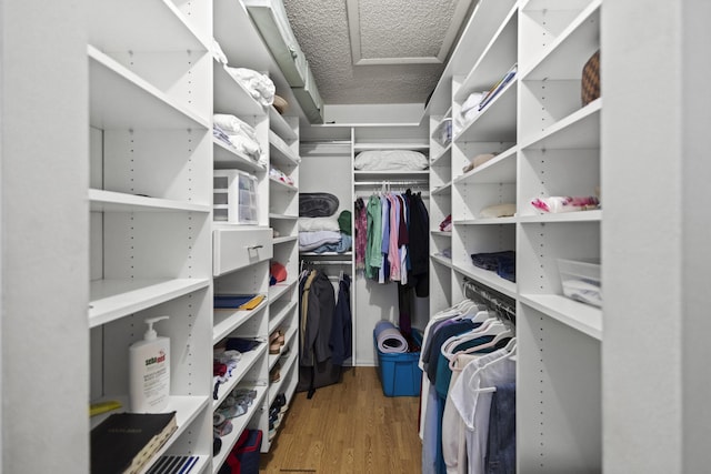 walk in closet with wood-type flooring