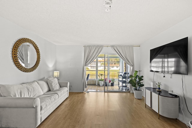 living room featuring hardwood / wood-style floors and a textured ceiling