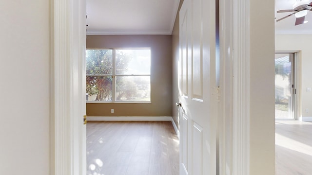 corridor featuring ornamental molding and light wood-type flooring