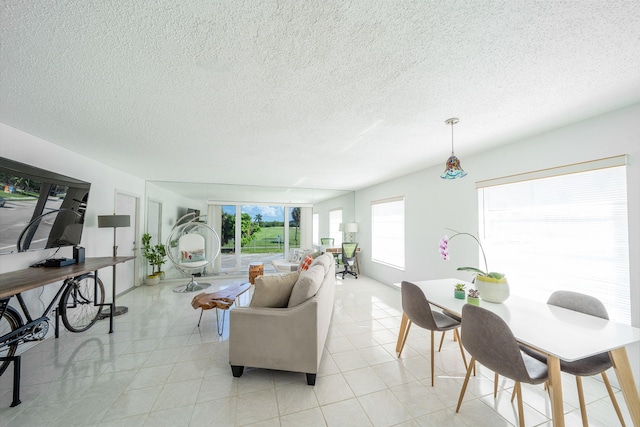 living room with plenty of natural light and a textured ceiling