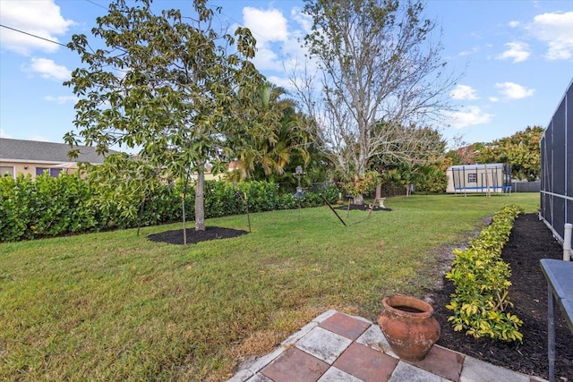 view of yard with a trampoline