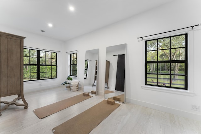 exercise room with light hardwood / wood-style floors