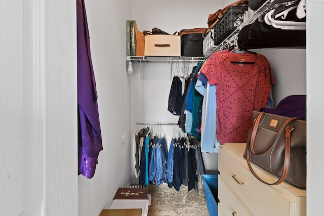 spacious closet featuring carpet flooring