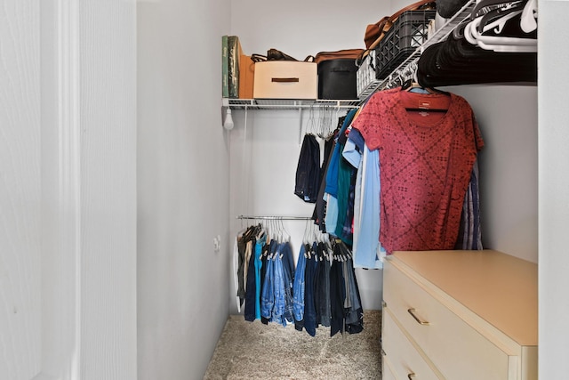 spacious closet with carpet flooring