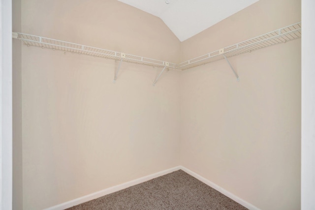 walk in closet with vaulted ceiling and carpet flooring