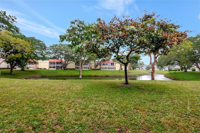 view of yard featuring a water view