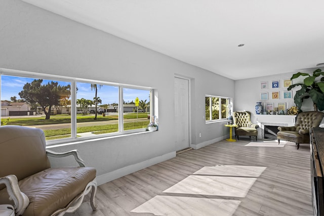 sitting room featuring light hardwood / wood-style flooring