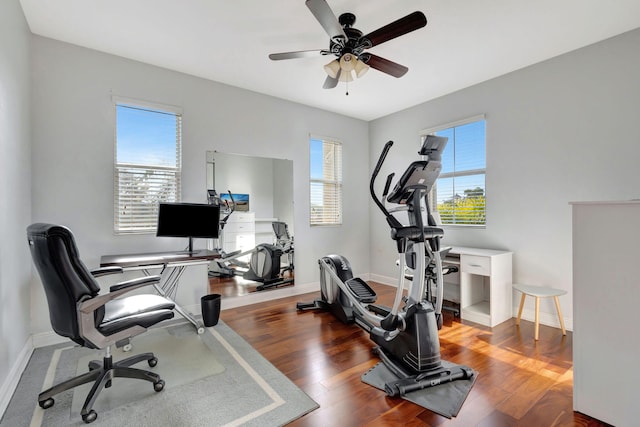 workout room featuring ceiling fan, a healthy amount of sunlight, and wood-type flooring