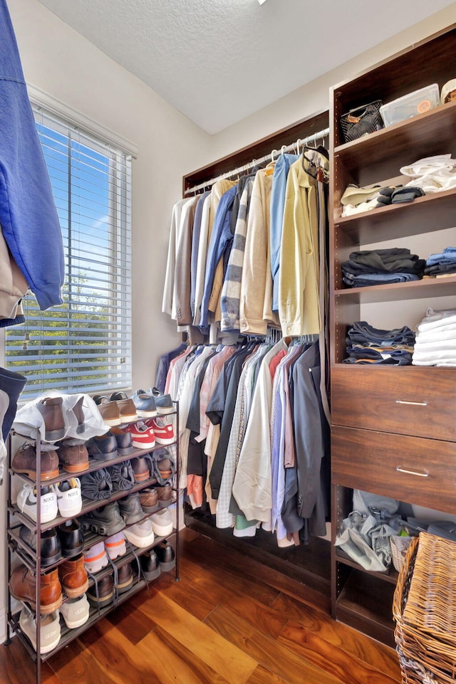 walk in closet featuring dark hardwood / wood-style floors