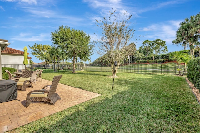 view of yard with a patio area