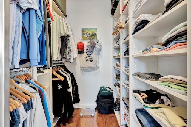 spacious closet featuring wood-type flooring