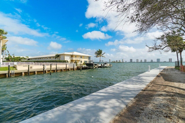 dock area with a water view