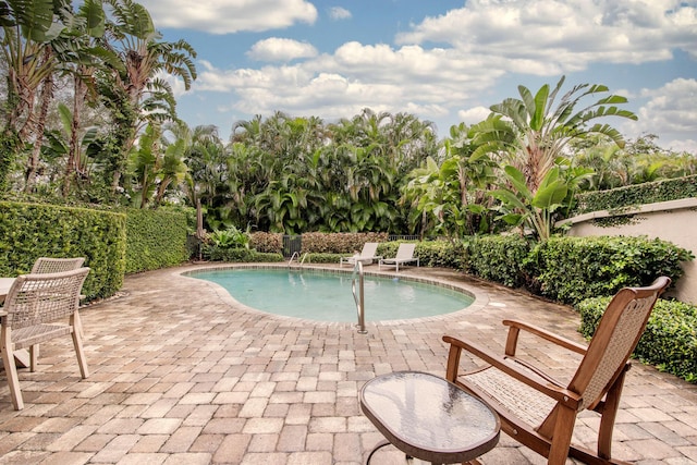 view of pool with a patio