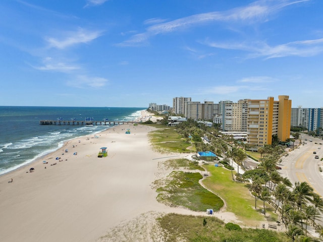 water view with a view of the beach