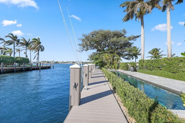 dock area with a water view