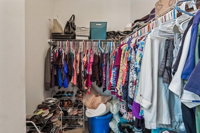 view of spacious closet