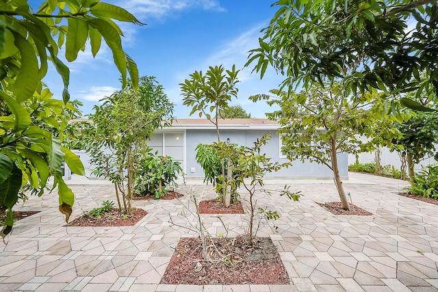 602 SE 6th Ave, Deerfield Beach, FL 33441 - view of patio / terrace