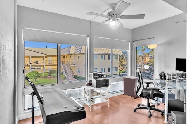 office featuring hardwood / wood-style floors and ceiling fan