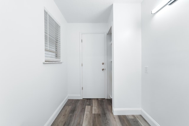 hall featuring dark wood-type flooring