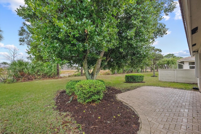 view of yard with a patio