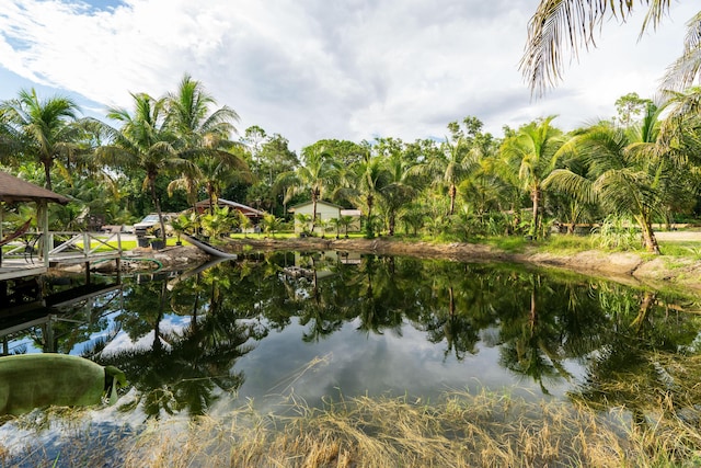 property view of water