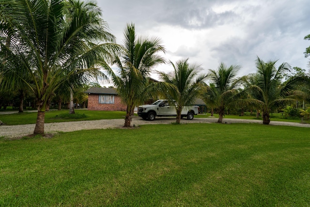 view of property's community featuring a yard and gravel driveway