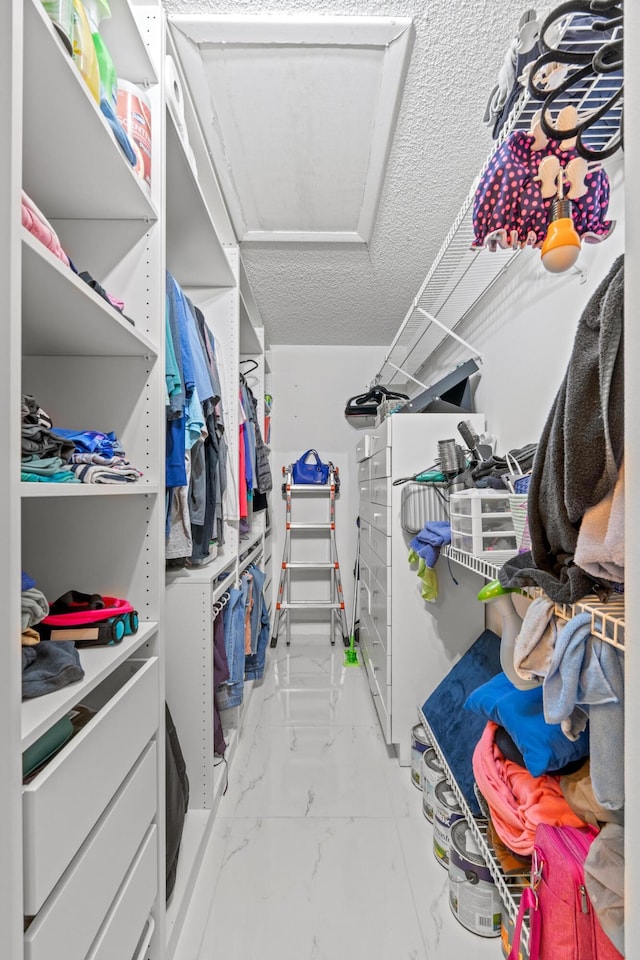 view of walk in closet