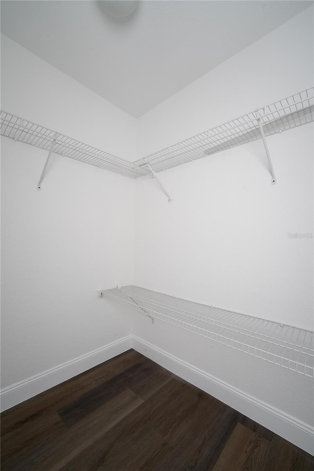 walk in closet with hardwood / wood-style floors