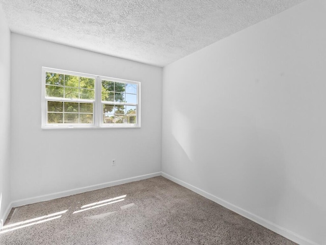 unfurnished room featuring a textured ceiling and carpet