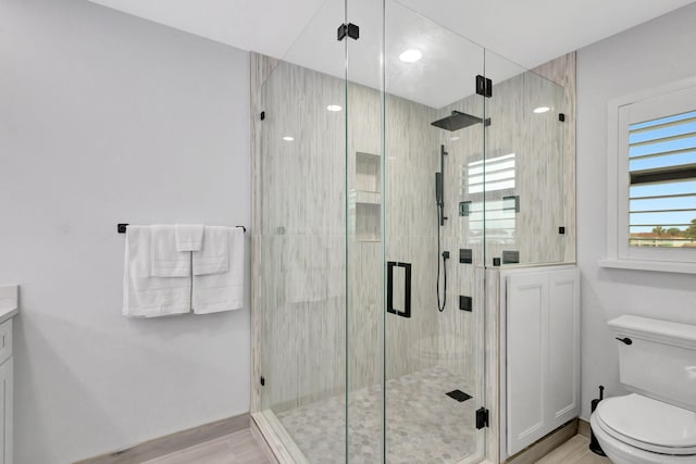 bathroom with vanity, toilet, and an enclosed shower