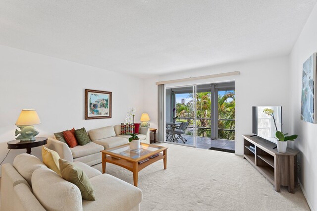 carpeted living room featuring a textured ceiling