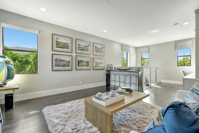 living room featuring dark wood-type flooring