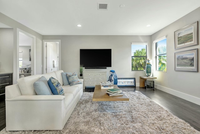 living room with dark wood-type flooring