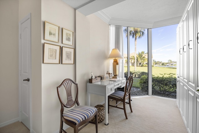 interior space featuring light carpet, plenty of natural light, and ornamental molding