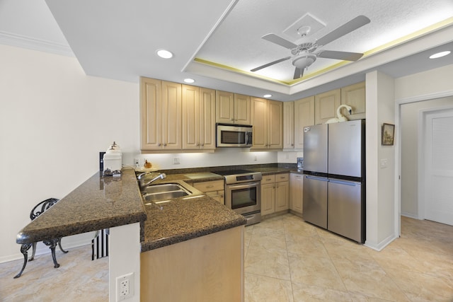 kitchen featuring sink, crown molding, a tray ceiling, kitchen peninsula, and stainless steel appliances