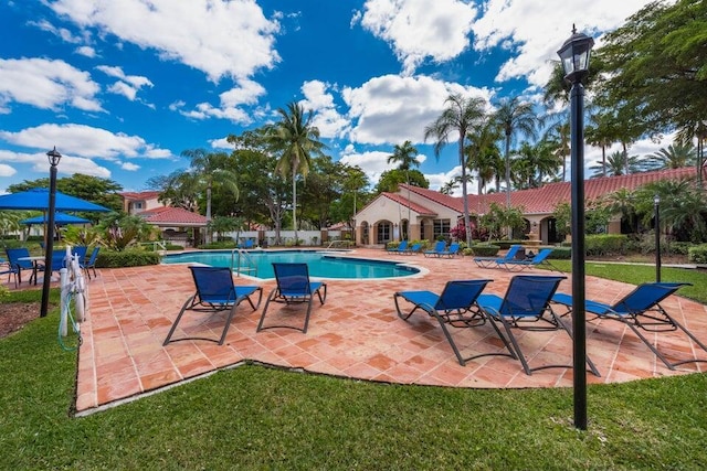 view of swimming pool with a patio and a lawn